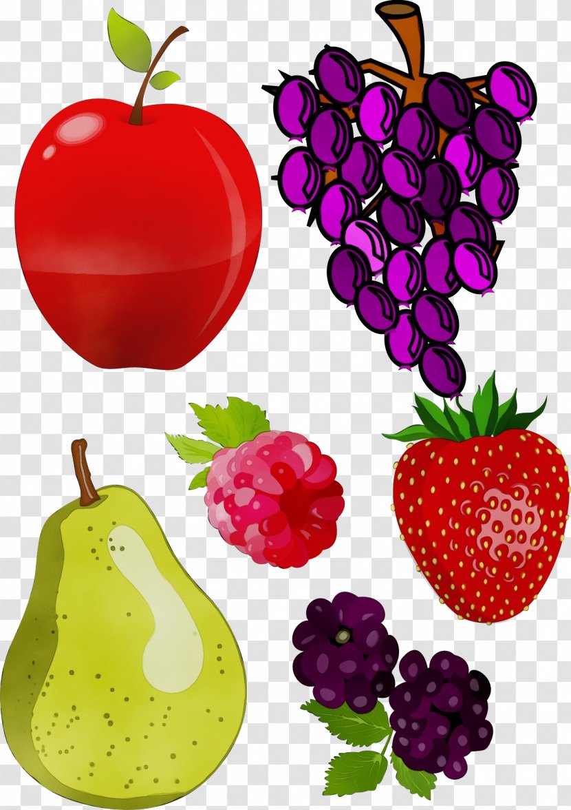 Tree Watercolor - Natural Foods - Berry Magenta Transparent PNG