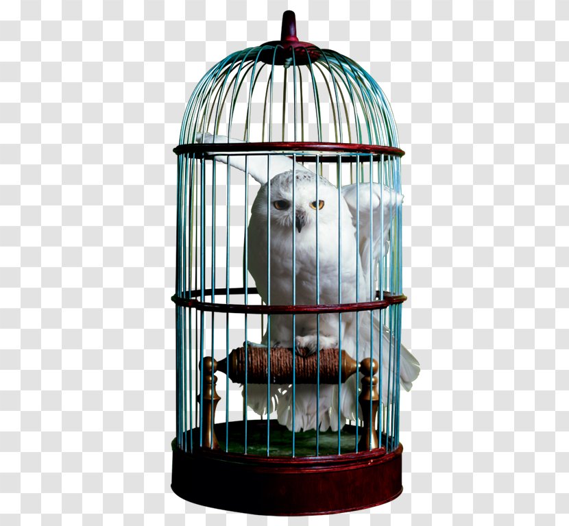 The Wizarding World Of Harry Potter Cage Hedwig Owl Transparent PNG