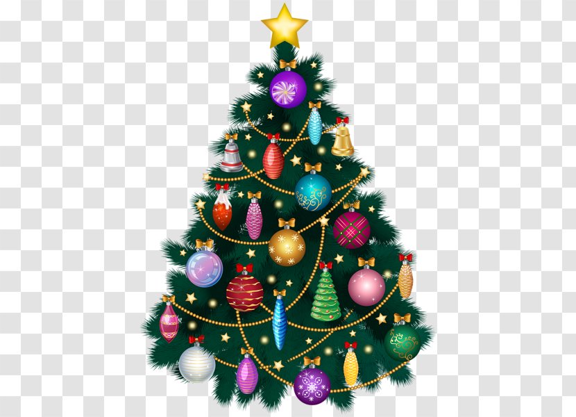 Christmas Tree Ornament New Year - Pine Family Transparent PNG