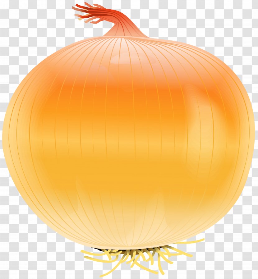 Yellow Onion Vegetable Calabaza Clip Art - Free Image Transparent PNG