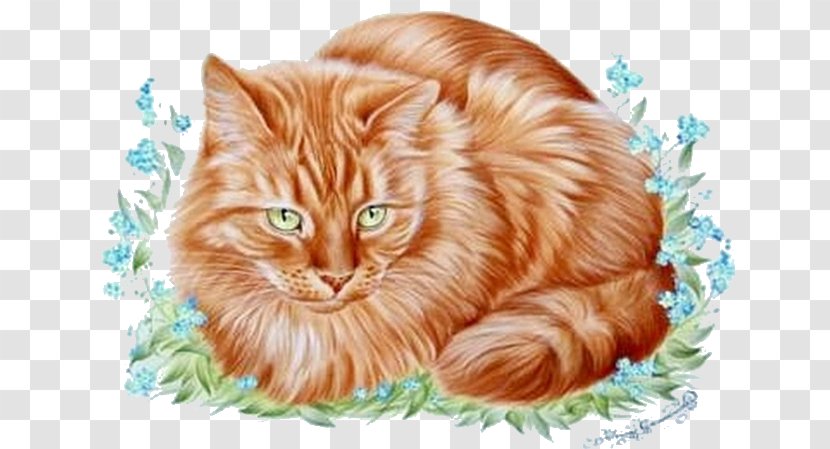 Cat Drawing Painter - Domestic Short Haired Transparent PNG