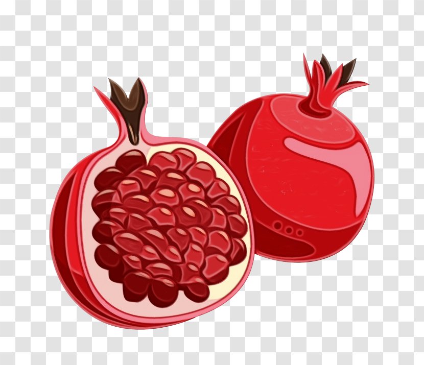 Pomegranate Red Fruit Food Plant - Superfood Superfruit Transparent PNG