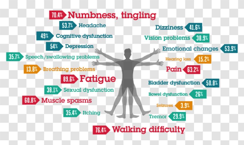 National Multiple Sclerosis Society Disease Management Of Health - Autoimmunity Transparent PNG