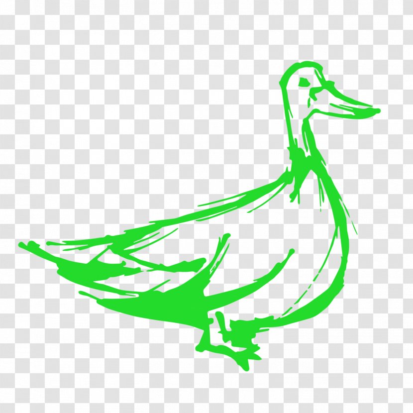 Duck Green Goose Renovations & Construction Architectural Engineering Bird - Renovation Transparent PNG