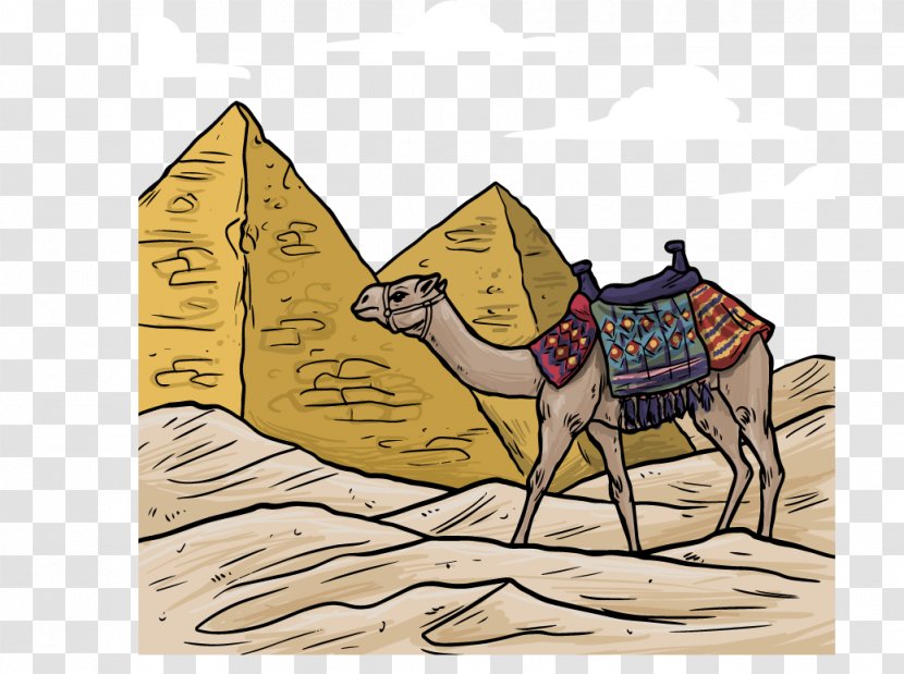 Egyptian Pyramids Ancient Egypt Camel Illustration - Like Mammal - And Colored Vector Material Transparent PNG