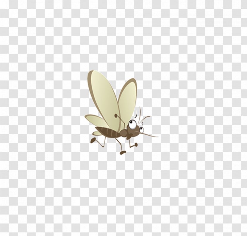 Butterfly Insect Wing Pest - Moth - Mosquito Transparent PNG