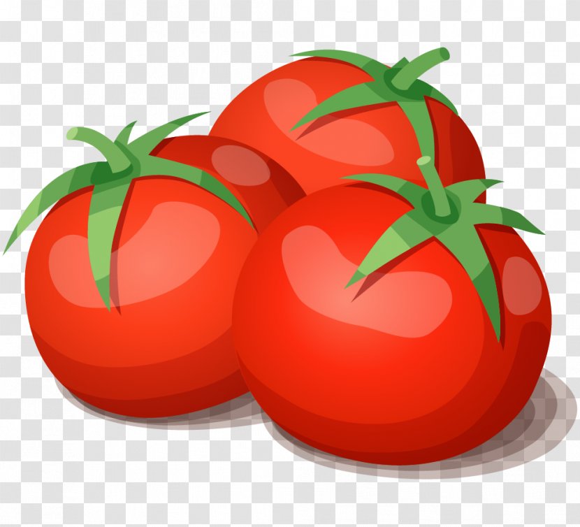 Clip Art Vector Graphics Tomato Illustration - Local Food - Cartoon Transparent PNG