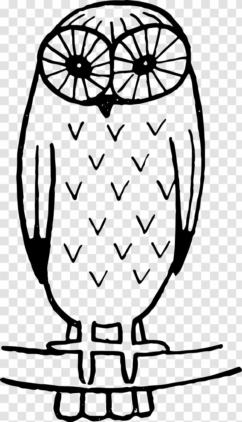 Black-and-white Owl Clip Art - Flower - Oh Vector Transparent PNG