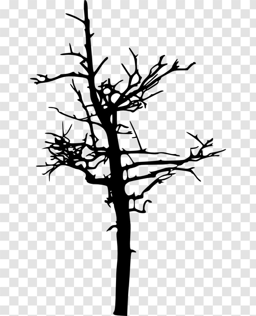 Twig Silhouette Clip Art - Woody Plant Transparent PNG