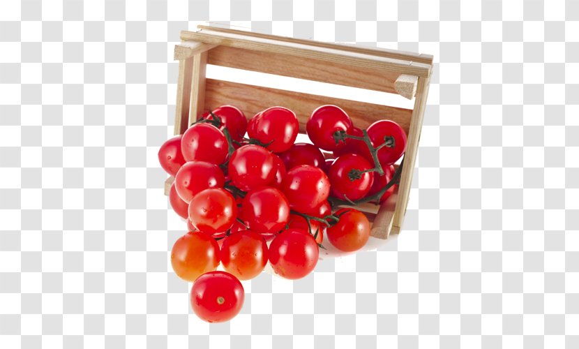 Cranberry Cherry Tomato Vegetable Fruit - Berry - Red Tomatoes Transparent PNG