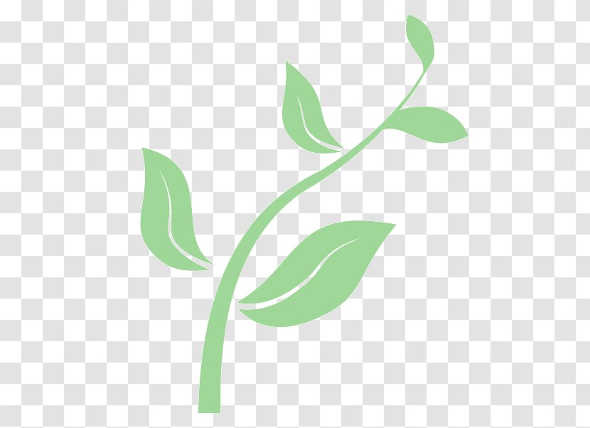 Seedling From Seed To Plant Clip Art - GROWING Transparent PNG