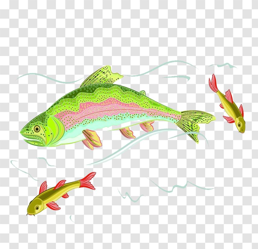 Fish Euclidean Vector Illustration - Marine Biology - Cartoon Transparent PNG