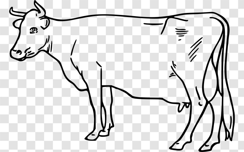 Ayrshire Cattle White Park Ox Goat Clip Art - Cow Family Transparent PNG