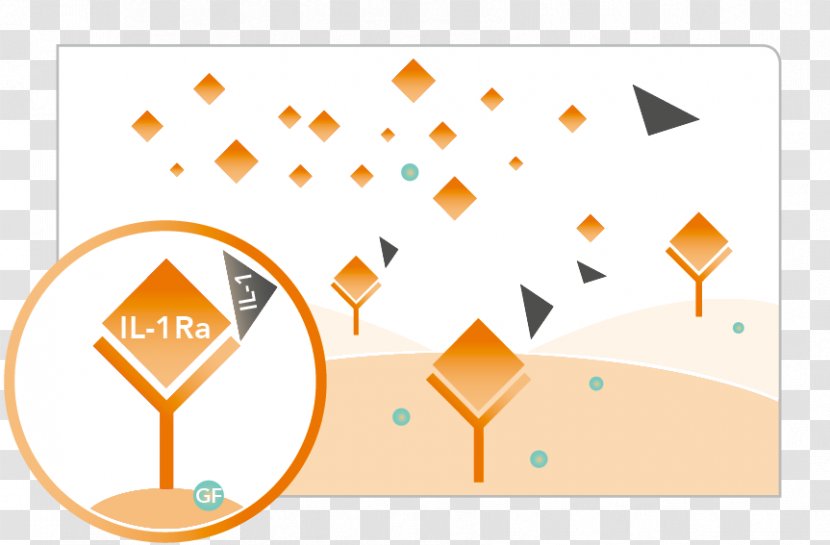 Orthokine Therapy Physician Orange Cytokine - Organization Transparent PNG