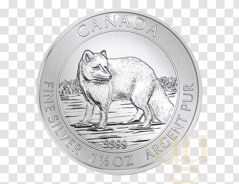 Coin Silver Dog Canidae Mammal - Polar Fox Transparent PNG