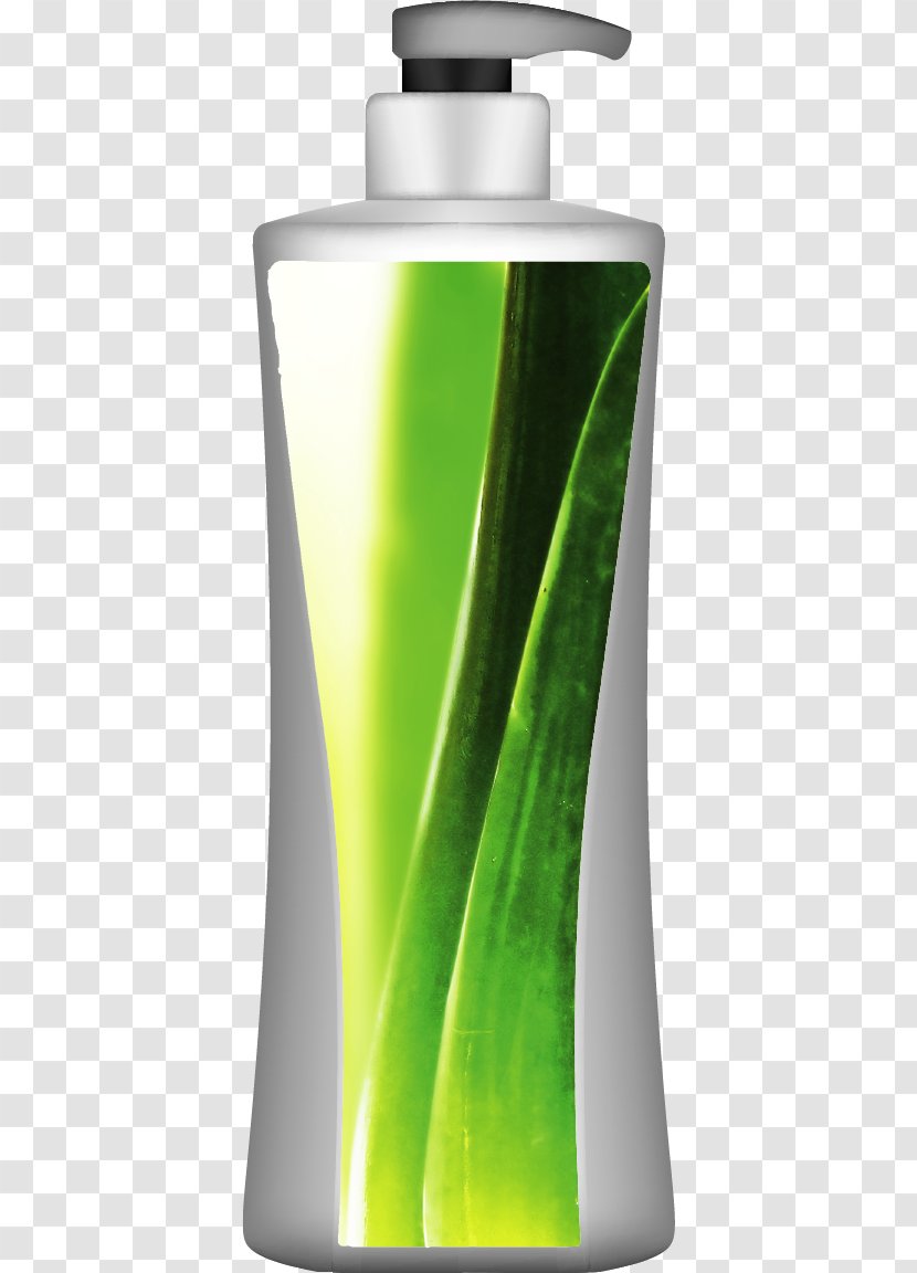 Aloe Vera Euclidean Vector Shampoo Bottle - Painted Transparent PNG