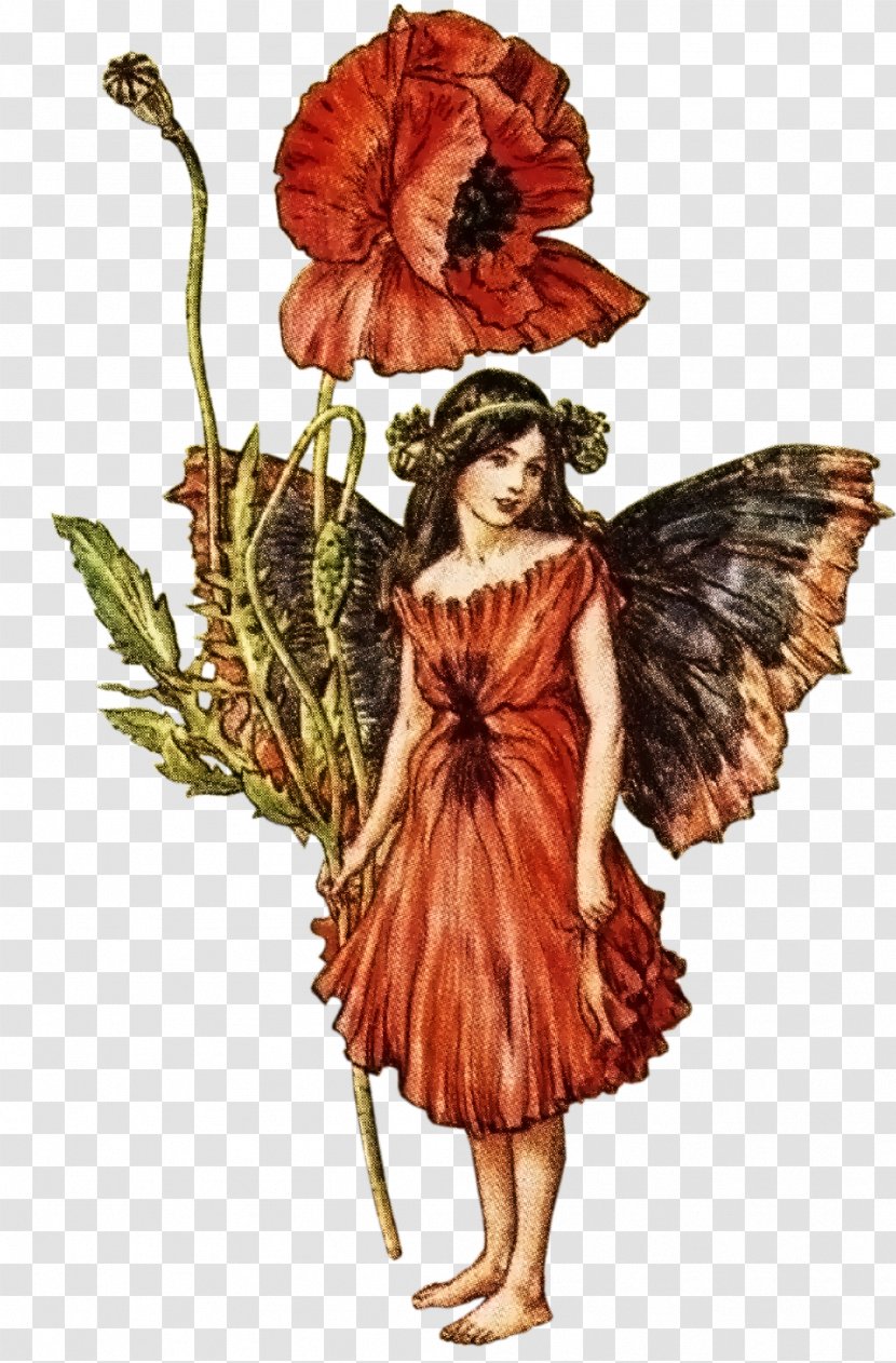 Croydon The Book Of Flower Fairies Fairy Illustration - Elf Transparent PNG