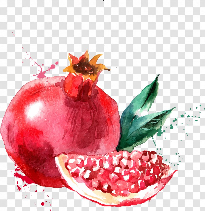 Watercolor Painting Drawing Fruit Illustration - Cartoon - Red Pomegranate Transparent PNG