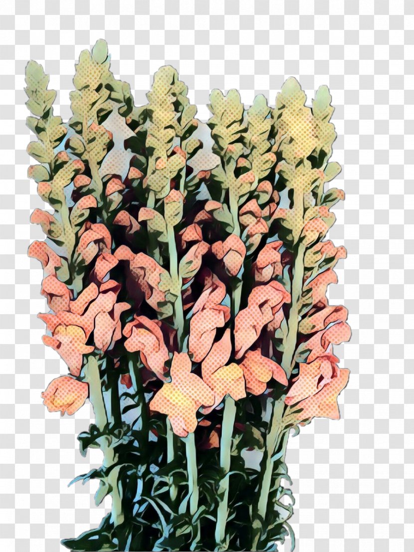 Flowers Background - Plant - Bouquet Snapdragon Transparent PNG