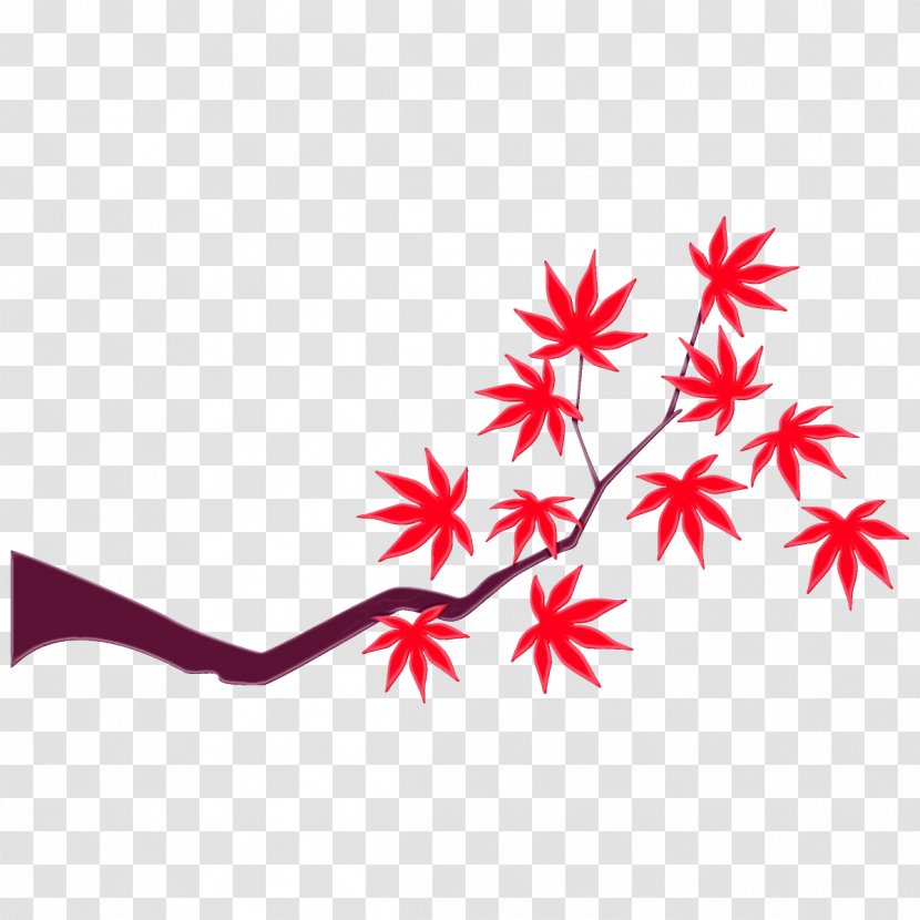 Maple Leaf - Plant Transparent PNG