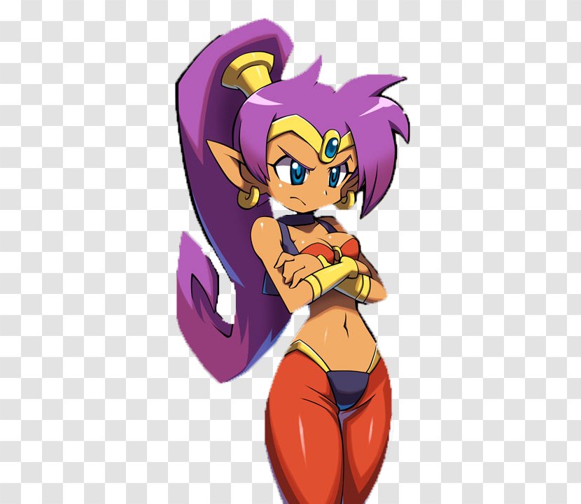 Shantae: Half-Genie Hero Belly Dance Clip Art - Flower - Frame Transparent PNG