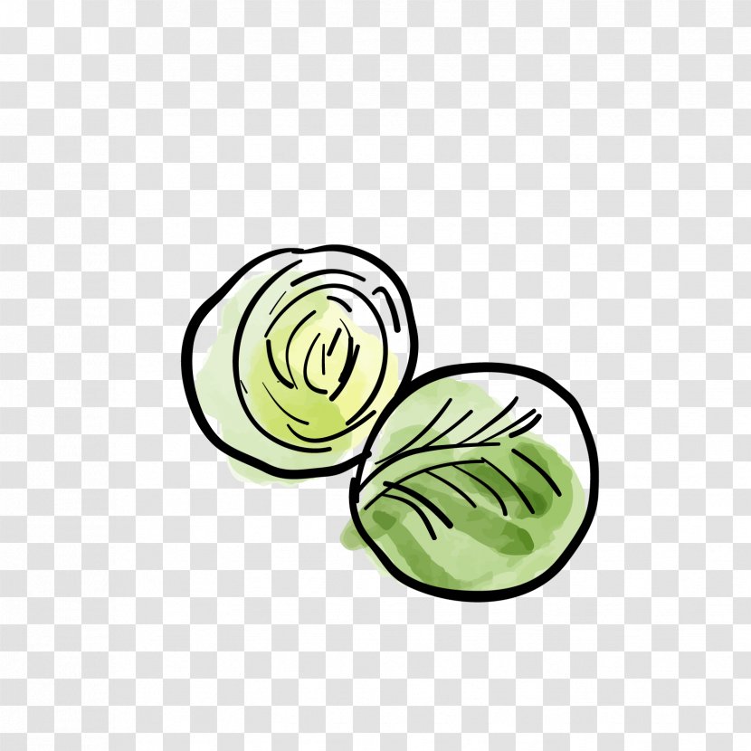 Cabbage Israeli Salad Nakji-bokkeum Vegetable Food - Leaf Transparent PNG