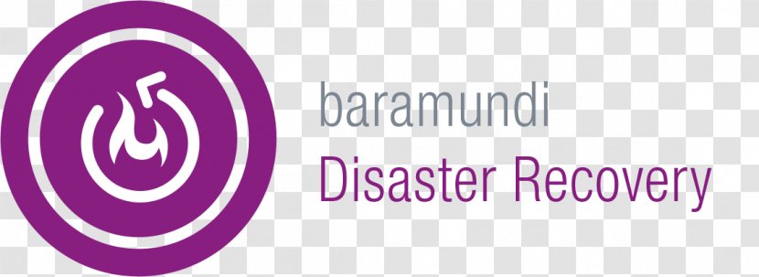Computer Software Deployment Technical Support Remote Desktop Baramundi - Disaster Recovery Transparent PNG