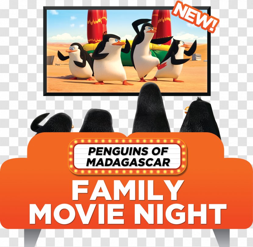 Family Film Night At The Museum Madagascar Fox News - Penguins Of Transparent PNG