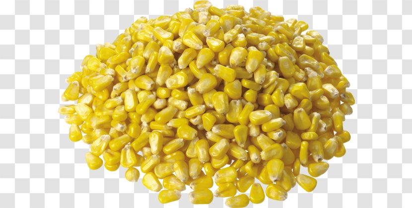 Corn On The Cob Maize Kernel Sweet - Inde Transparent PNG