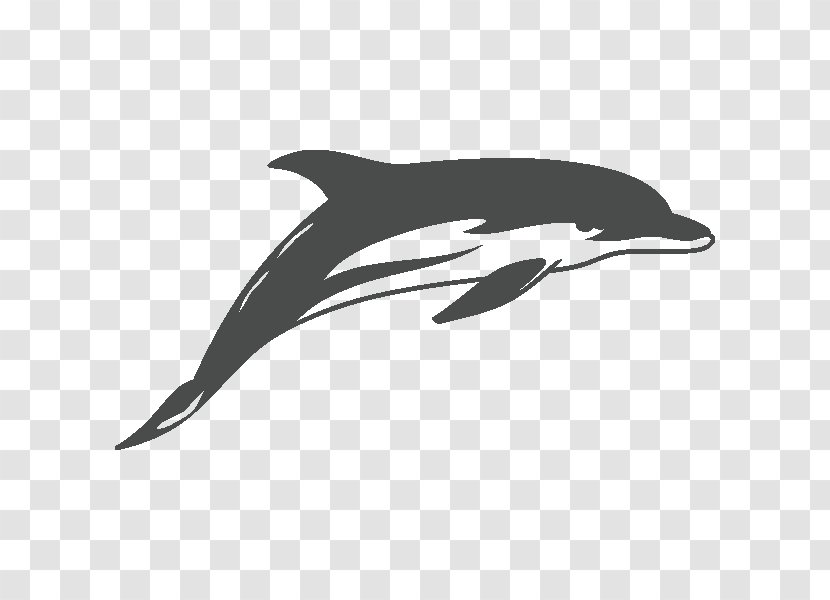 Common Bottlenose Dolphin Sticker Drawing Decal Tattoo Transparent PNG