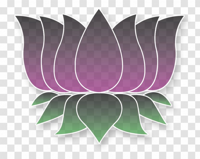 Purple Lotus Patient Center Medical Cannabis Dispensary Transparent PNG