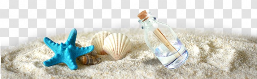Poster Tourism Template - A Drift Bottle Beside The Starfish Shells On Sand Transparent PNG