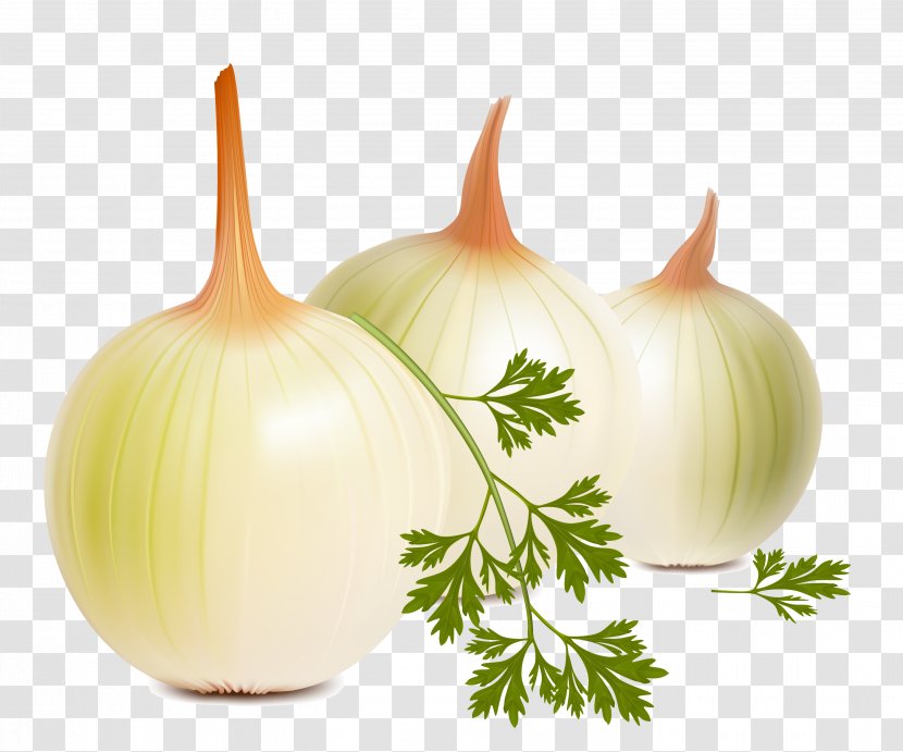Onion Shashlik Vegetable Clip Art - Cuisine - Cauliflower Transparent PNG