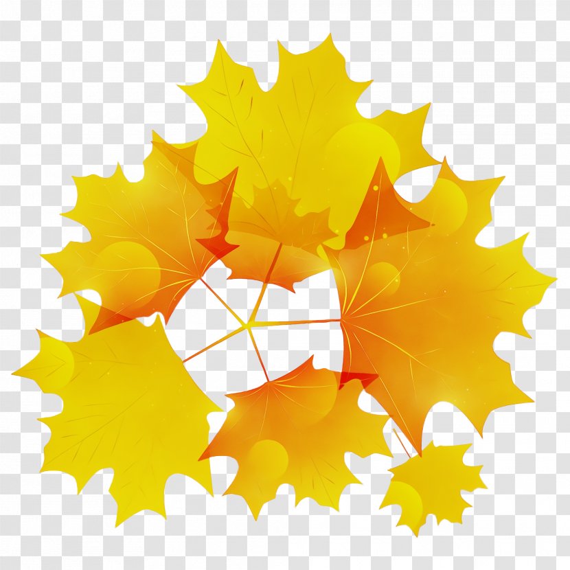 Maple Leaf - Plane Transparent PNG