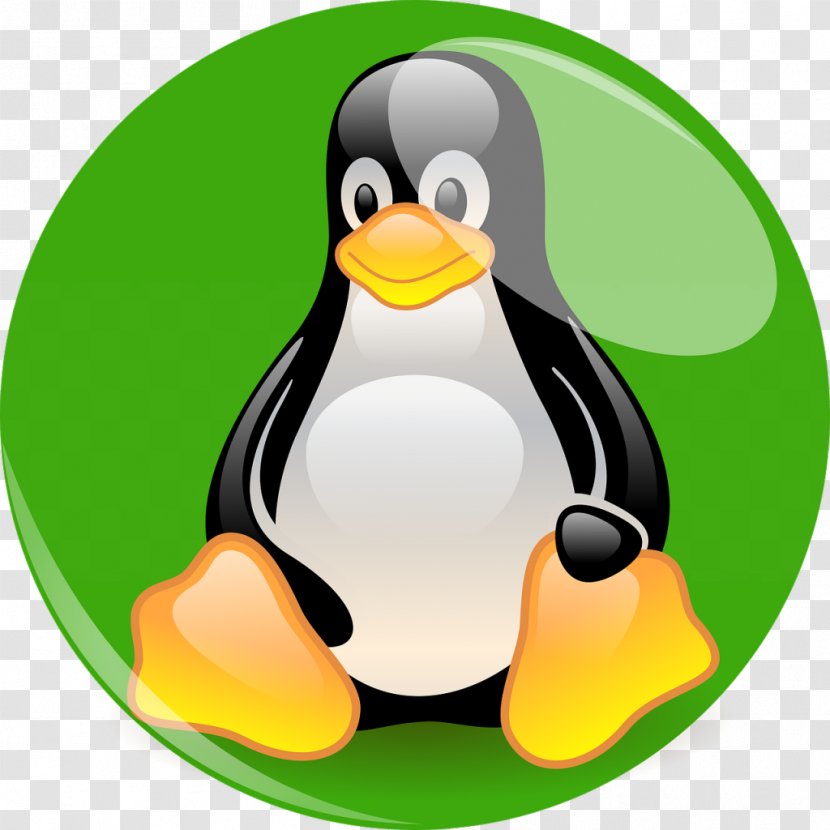 Linux From Scratch Distribution Red Hat Enterprise Installation - Debian - Tuxedo Transparent PNG