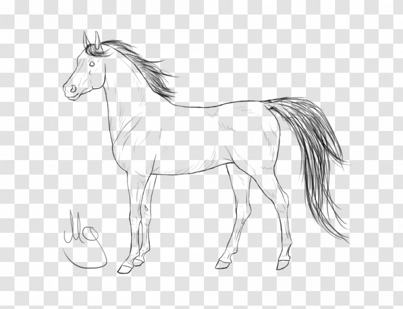 Mane Foal Halter Mustang Colt - White - Standing Horse Transparent PNG