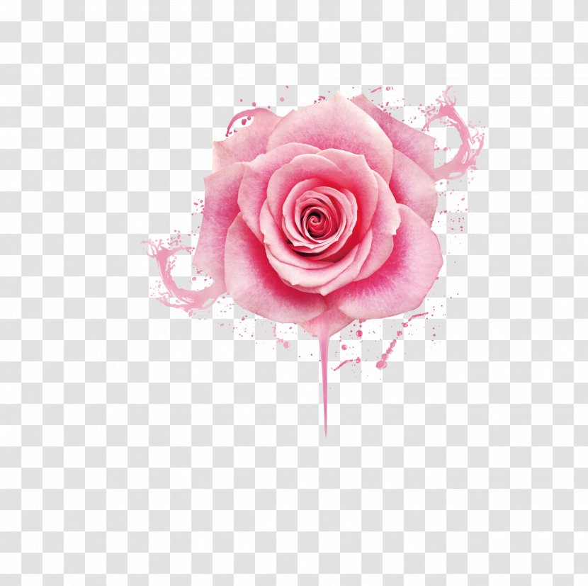 Beach Rose Pink Nail Polish Gel Nails - Beautiful Peony Flower Drops Transparent PNG