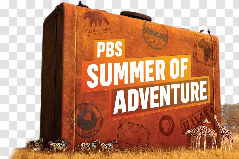 UNC-TV PBS Kids WNED-TV Adventure Film - Television Show Transparent PNG