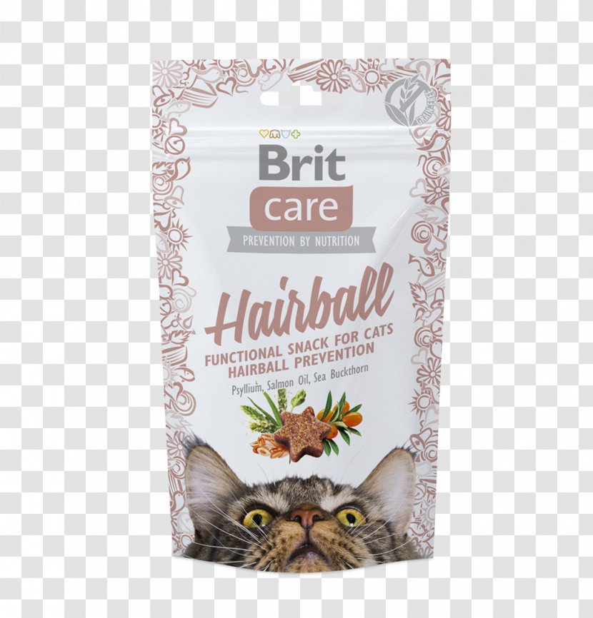 Cat Food Hairball Raw Feeding Fodder - Health - Salmon Fillet Transparent PNG