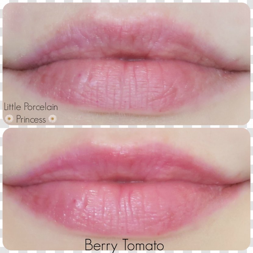 Lip Balm Stain Lipstick Gloss - Tint Transparent PNG