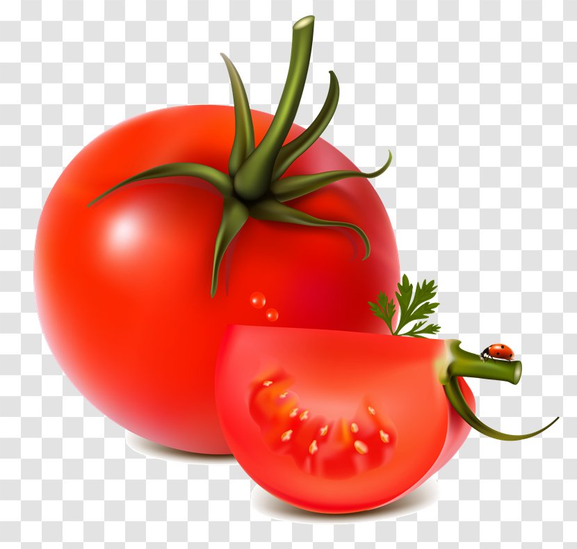 Caprese Salad Tomato Juice Clip Art Vegetable - Fruit Transparent PNG