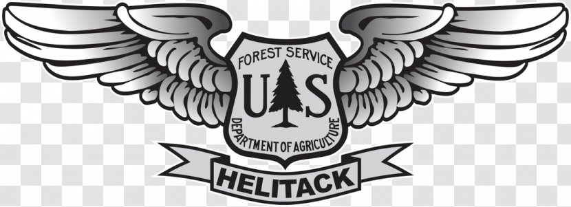 United States Forest Service Smokey Bear National Logo - Fire Transparent PNG