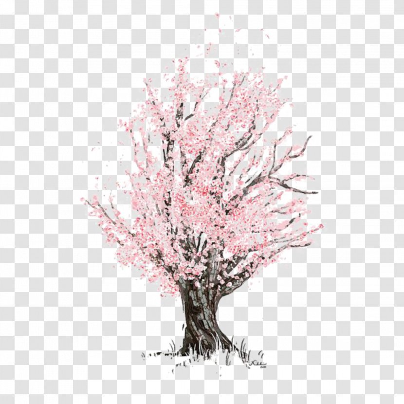 Cherry Blossom - Plant - Twig Branch Transparent PNG