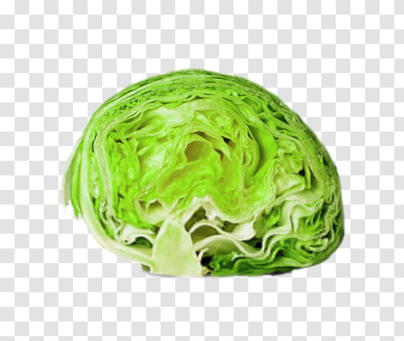 Iceberg Lettuce Romaine Food Leaf Vegetable Transparent PNG