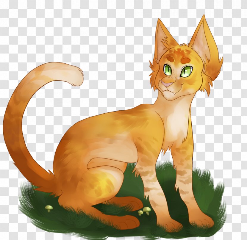Kitten Cat Warriors Into The Wild Whiskers - Claw Transparent PNG