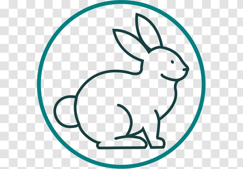 Domestic Rabbit Clip Art - Organism Transparent PNG