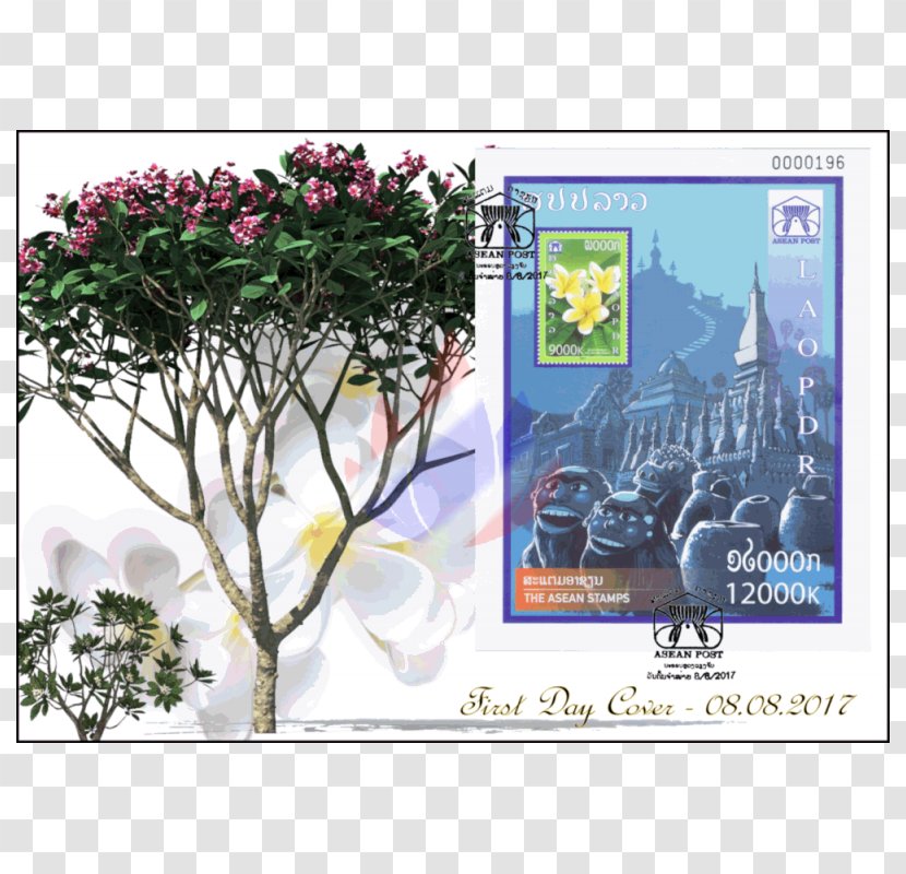 Advertising Flower Branching - Flora - Plumeria Transparent PNG