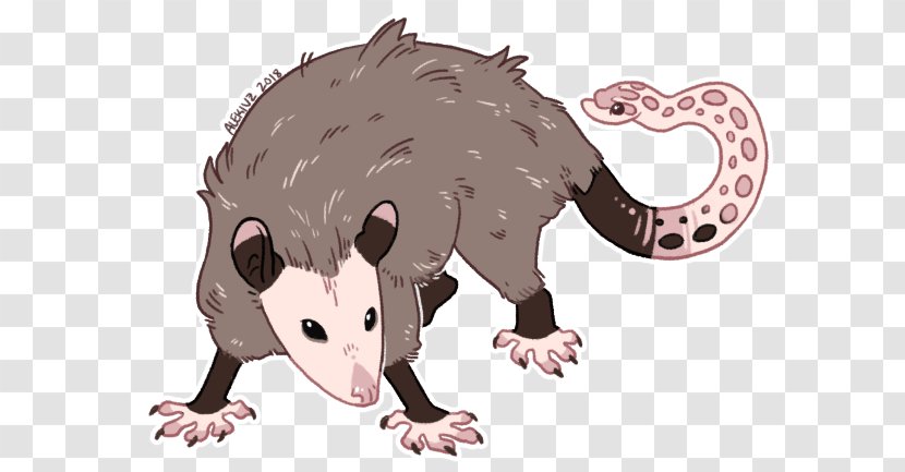 Common Opossum Virginia Mouse Snout - Rat Transparent PNG