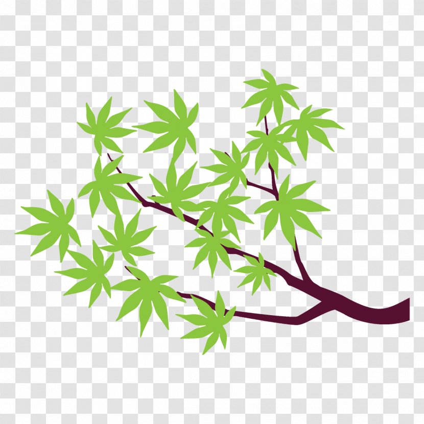 Maple Branch Leaves Tree - Plant Stem - Flower Transparent PNG