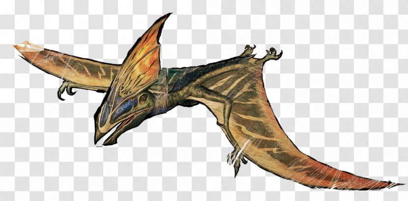 ARK: Survival Evolved Compsognathus Pteranodon Spinosaurus Tapejara - Wing - Mythical Creature Transparent PNG